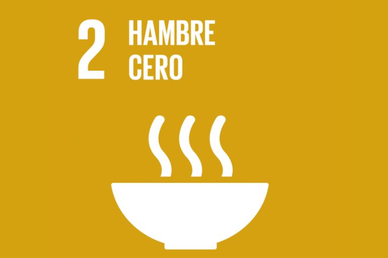 1hambre