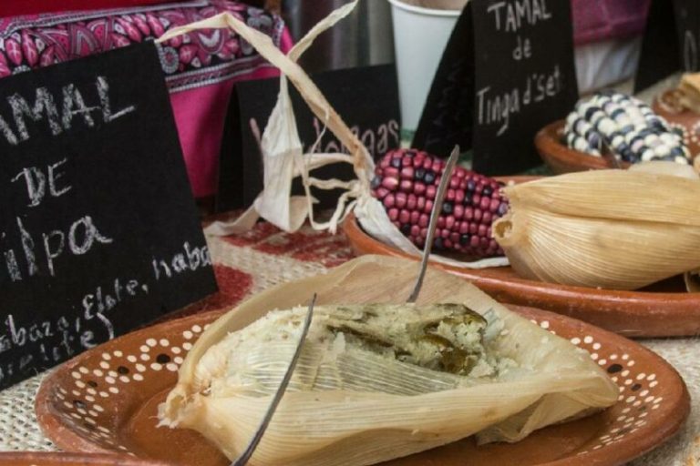 Tamales-personas-con-discapacidad-fundacion-herdez-1024×540