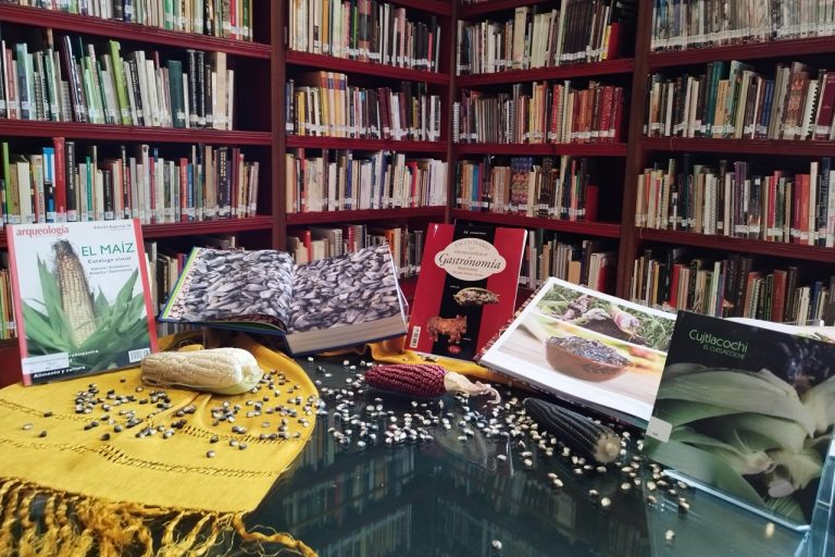 libros-maiz