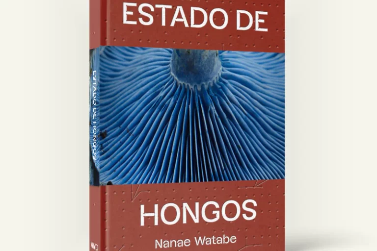 Portada_Sitio_-_ESTADO_DE_HONGOS