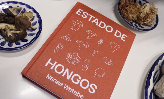 Estado de Hongos