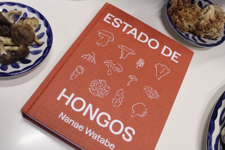 Estado de Hongos