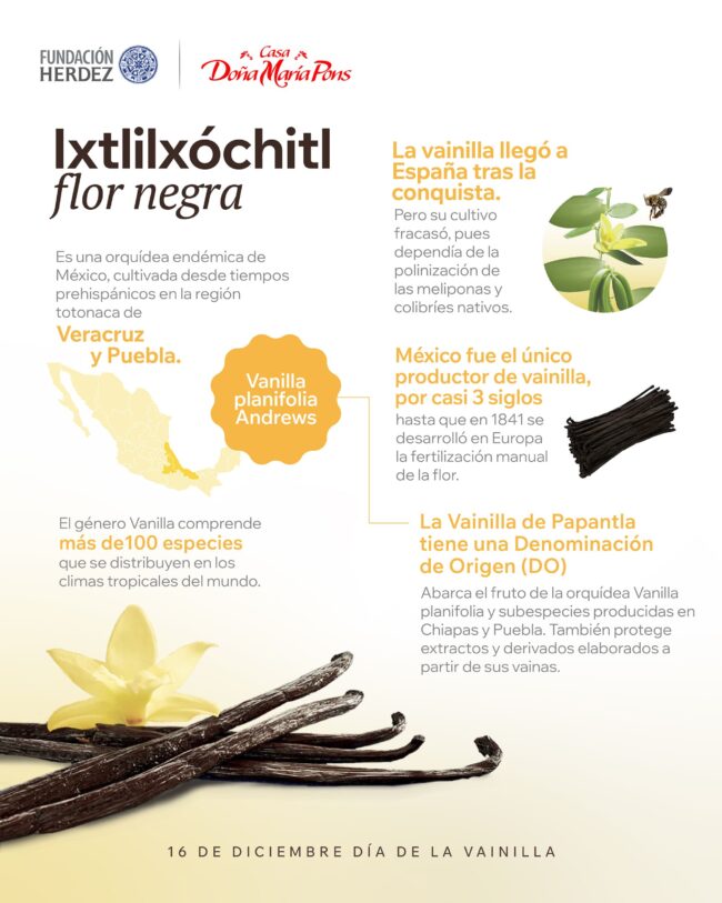 INFOGRAFIA VAINILLA MEXICANA – HERDEZ