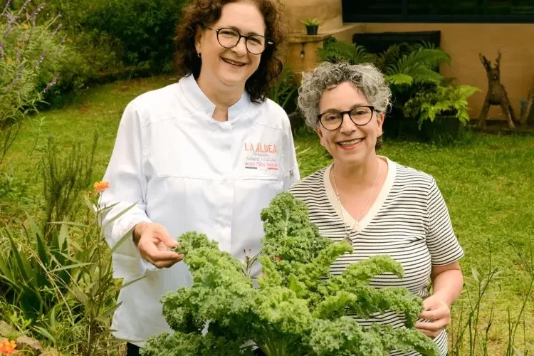 cocina-mas-vegetales-fundacion-herdez-libro-ciudad-mexico-cdmx