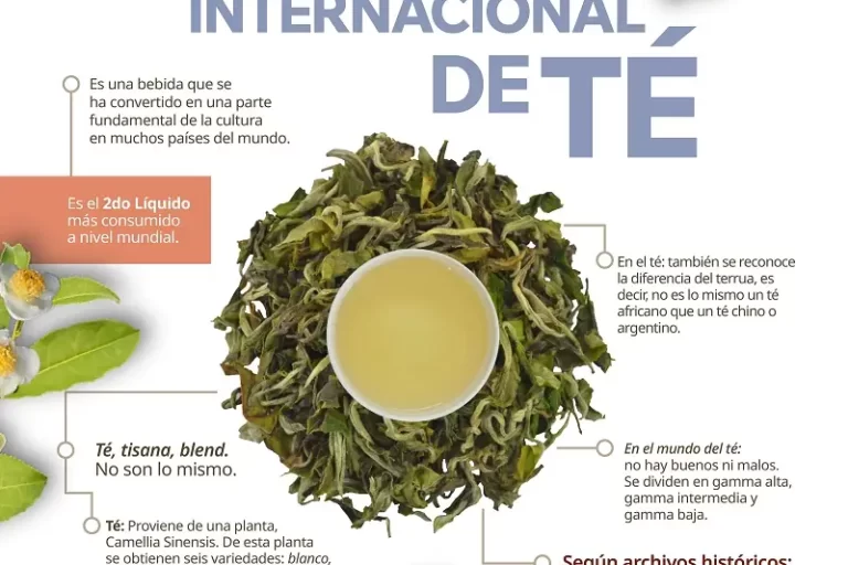 Infografia-Te