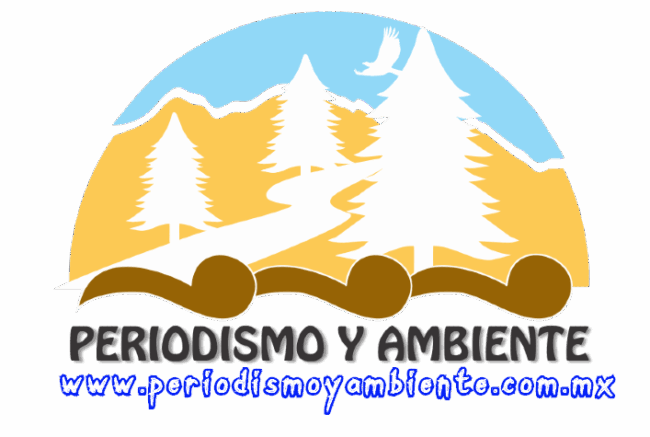 cropped-logo-machorro-300