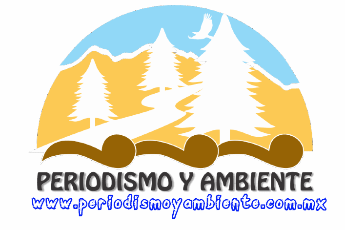 cropped-logo-machorro-300