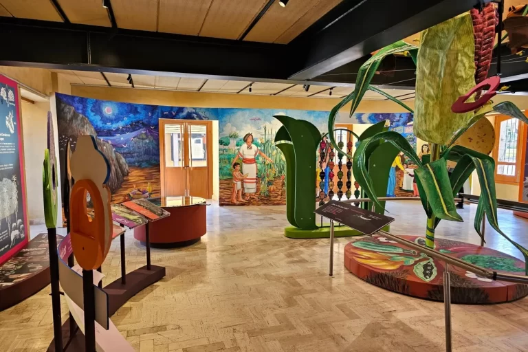 museos-de-comida-en-cdmx-6