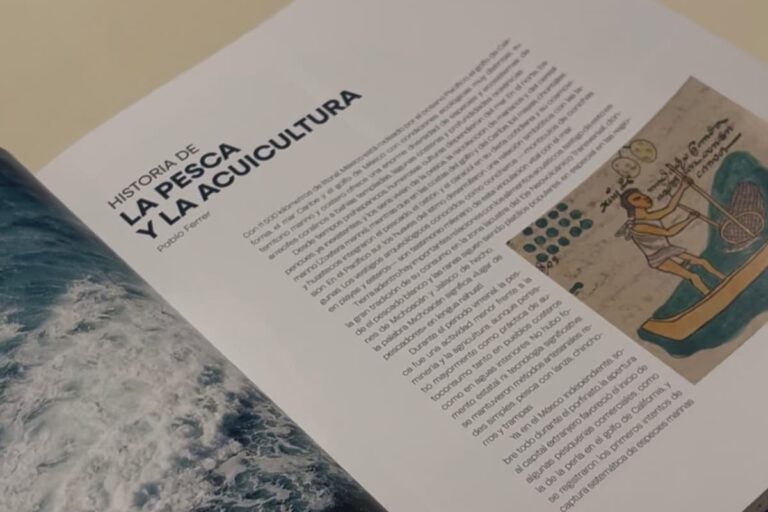 contenido-libro-pesca