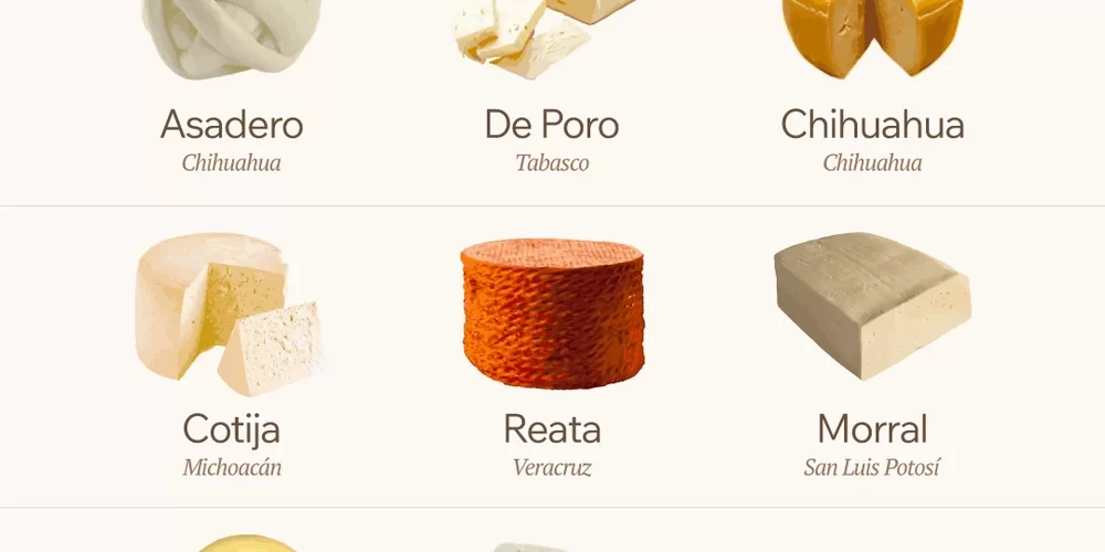 Infografía informativa sobre los quesos mexicanos artesanales, sus estados de origen y literatura gastronómica