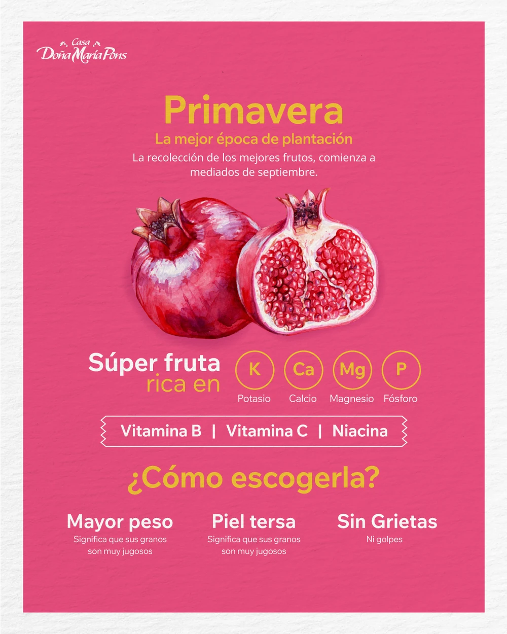 Infografía sobre la granada roja, su origen, características y presencia en la gastronomía mexicana