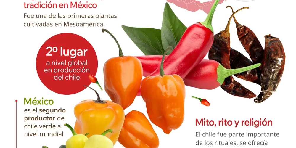 Infografía sobre la historia del chile en México, sus propiedades nutricionales y la Escala Scoville del picante mexicano.