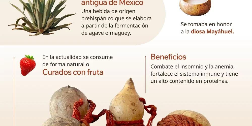 Infografía sobre el pulque, su origen, historia y proceso tradicional de elaboración