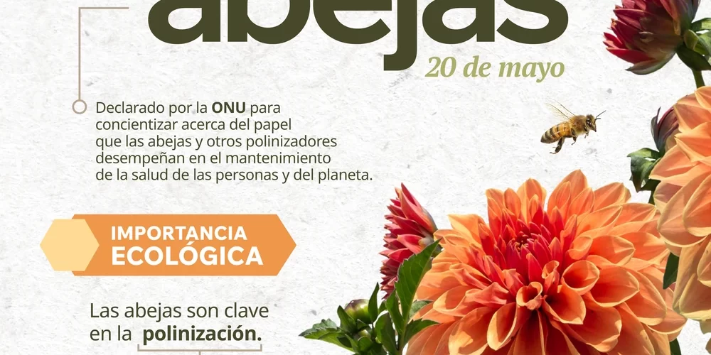 17-abeja-1