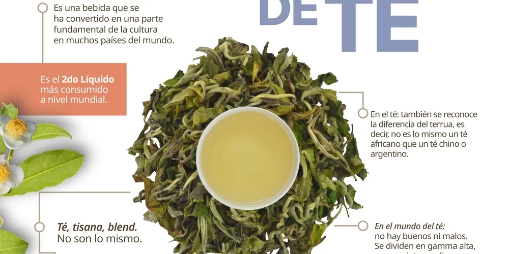 Infografía sobre los tipos de té, su origen, variedades, propiedades y curiosidades