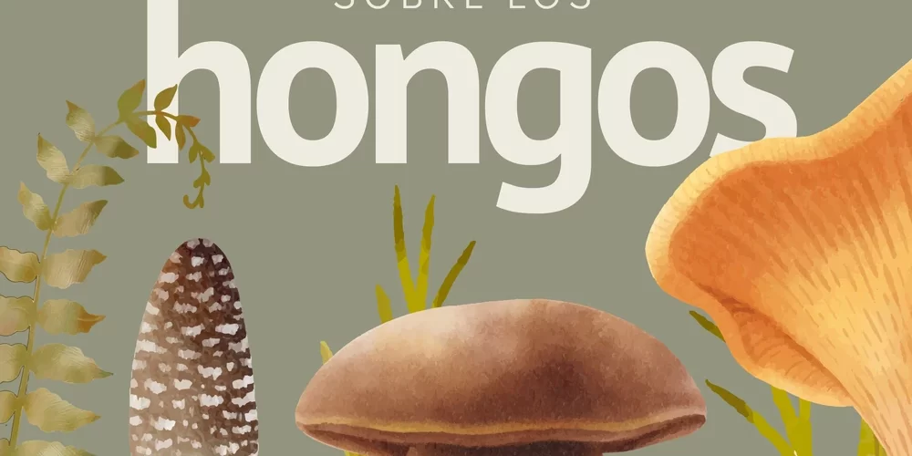 Infografía sobre los hongos, sus características, alimentación, reproducción y presencia en México