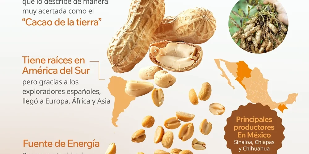 Infografía sobre el cacahuate, su origen, características, nutrientes y producción en México