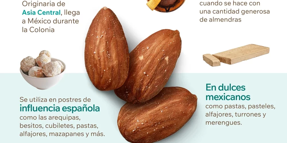 Infografía sobre la almendra en México y sus usos en moles, dulces y bebidas