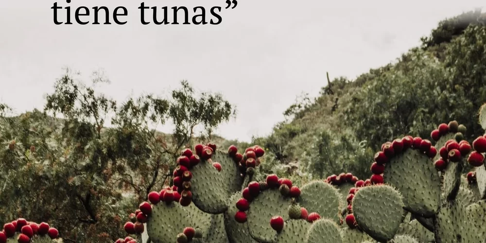 Infografía sobre el nopal mexicano, sus características, importancia ambiental y usos