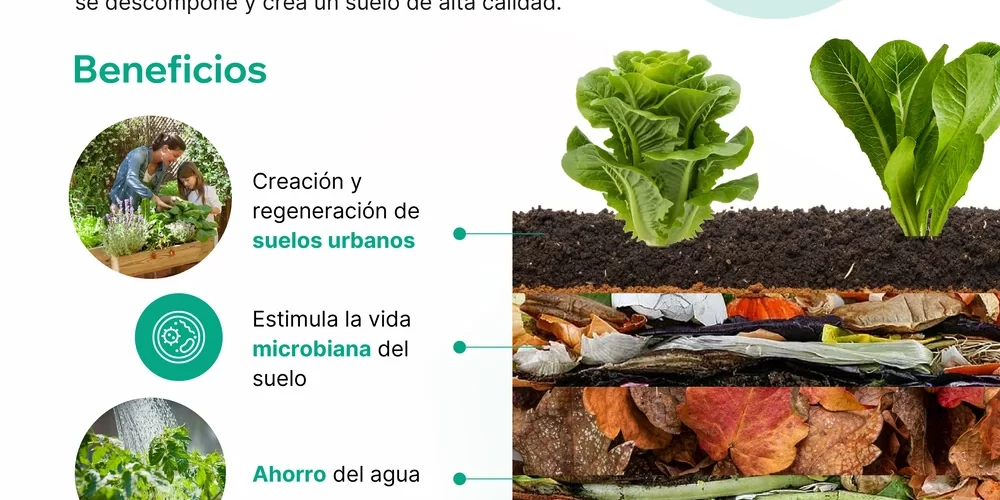 Huerto Lasaña: Técnica para Regenerar el Suelo Urbano
